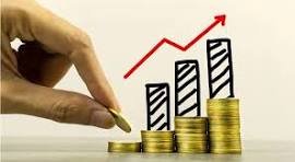 logo tradingorganico